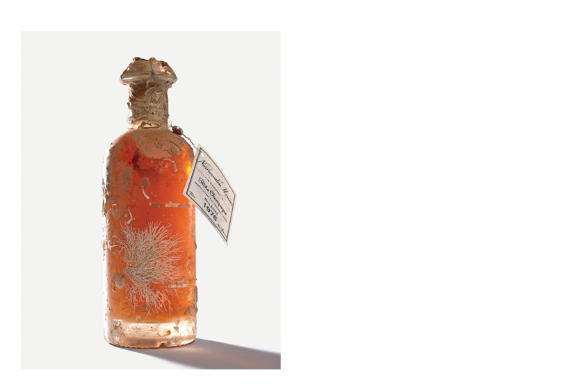 Vins fins 
  & Spiritueux