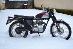 1964 TRIUMPH TIGER T100 SC - NO RESERVE