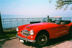 ¤ 1966 AUSTIN HEALEY 3000 MKIII