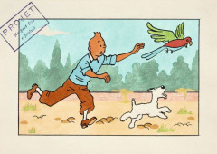 STUDIOS HERGÉ  La chasse au perroquet