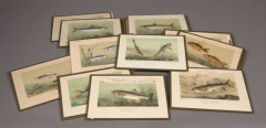 DIX HUIT GRAVURES de poissons. Quelques vitres brisées. XIXème siècle.