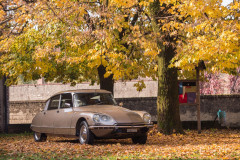 1974 Citroën DS 23 IE Pallas  No reserve