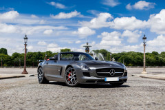 2014 Mercedes-Benz SLS GT AMG Roadster Final Edition