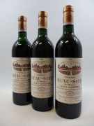 12 bouteilles CHÂTEAU BEAU SITE 1985 Saint Estèphe (11 base goulot