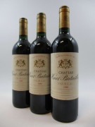 3 bouteilles CHÂTEAU HAUT BATAILLEY 1996 5è GC Pauillac  (base goulot