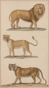 Jean-Gabriel PRÊTRE Genève, 1768 - Paris 1849 Félins et chiens Quatre dessins à l'aquarelle sur trait de plume et encre brune et tra..