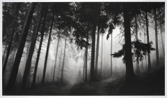 Robert LONGO (Né en 1953) Untitled (Fairmount Forest) - 2014 Impression pigmentaire