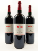 6 bouteilles ECHO DE LYNCH BAGES 2009 Pauillac