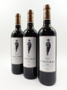 12 bouteilles PEPIN D'ESCURAC 2015 Médoc (étiquettes léger tachées)