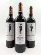 12 bouteilles PEPIN D'ESCURAC 2015 Médoc (étiquettes léger tachées)