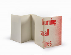 Bruce NAUMAN Né en 1941 Burning Small Fires - 1968