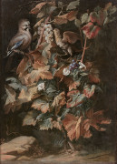 Nicola van HOUBRAKEN Messine, 1660 – Livourne, 1723 Geai et étourneau sur un pied de vigne entouré de liseron Huile sur toile