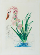 ¤ Salvador DALI (1904 - 1989) Polyanthes tyberosa et cygnus vegetalis - 1972 Planche issue de la suite " Fleurs Surréalistes"