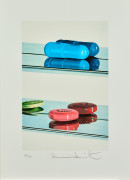 Damien HIRST (Né en 1965) Two Pills - 2004 Sérigraphie en couleurs