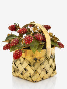 CARTIER  Panier de fraises