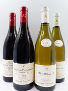 4 bouteilles 2 bts : GEVREY CHAMBERTIN 1994 1er cru. André Goichot (rouge)