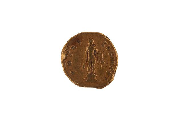 Aureus