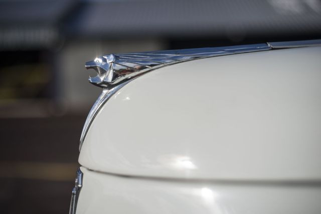 1950 Peugeot 203 Berline Découvrable  No reserve