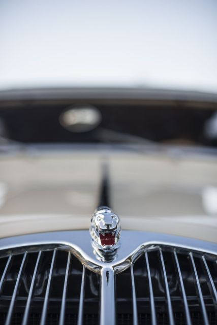 1936 Peugeot 402 Eclipse