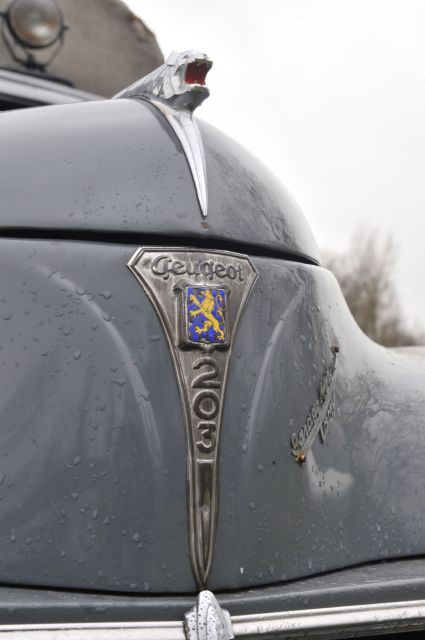 1953 Peugeot 203 bâchée  No reserve