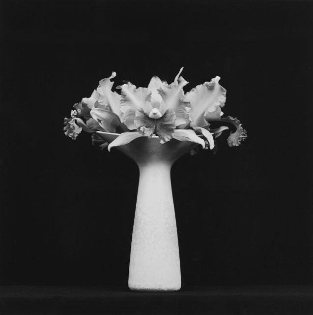 Robert MAPPLETHORPE (1946-1989) ORCHIDS IN VASE – 1983 Tirage argentique d'époque