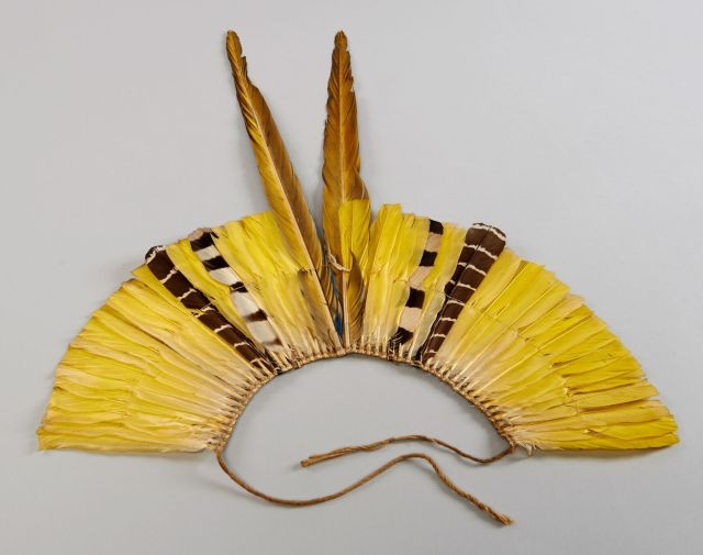 COIFFE en plumes jaune et bleue, Ara bleu, cacique huppé, hocco à face nue et spizaète orné. Haut. : 49 cm, Largeur : 50 cm. Ara ara...