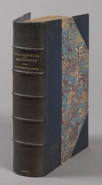 E .BLANCHARD : Les poissons d'eau douce de la France. Lib JB Baillère et Fils 1880. Bel exemplaire assorti d'une belle reliure mi-cu...