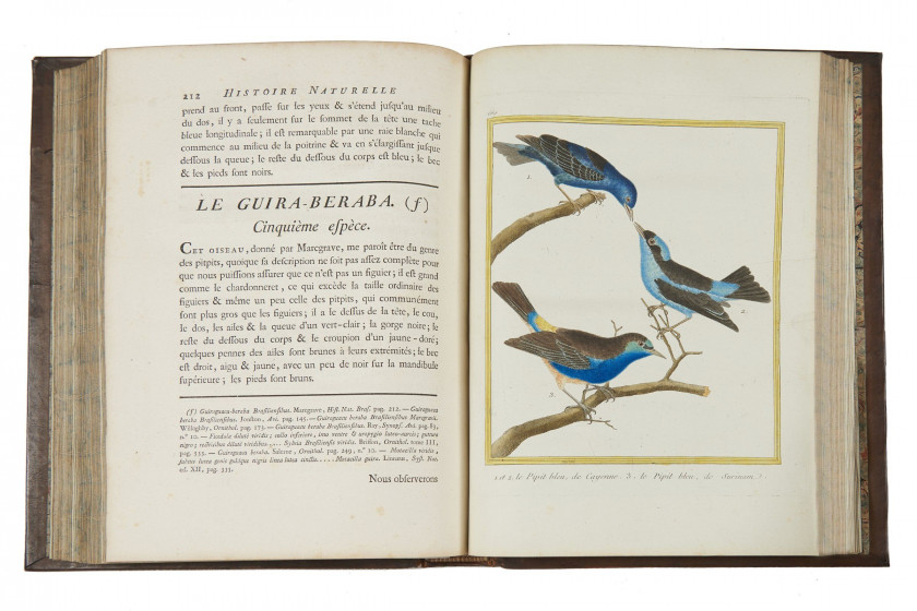 Georges-Louis Leclerc,comte de BUFFON 1707-1788 Histoire naturelle des oiseaux