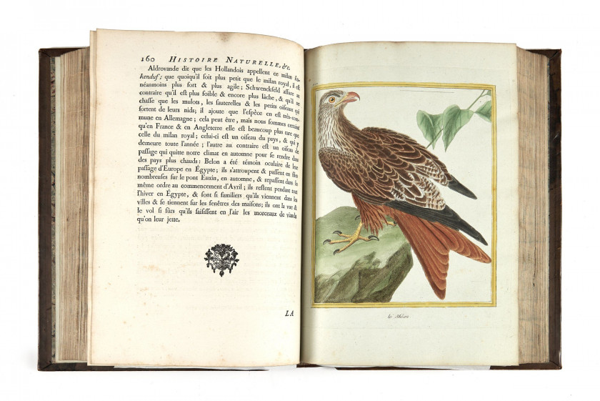 Georges-Louis Leclerc,comte de BUFFON 1707-1788 Histoire naturelle des oiseaux