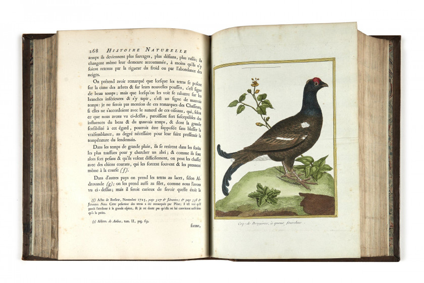 Georges-Louis Leclerc,comte de BUFFON 1707-1788 Histoire naturelle des oiseaux