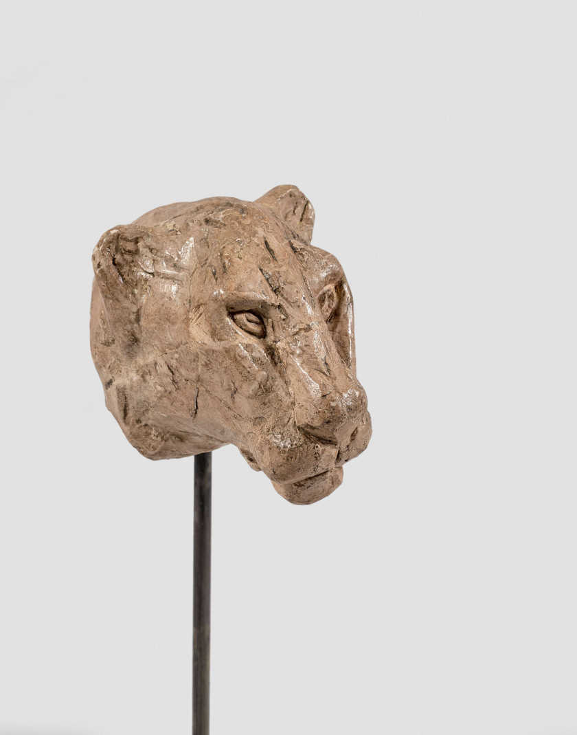 Diego GIACOMETTI 1902- 1985 Tête de lionne du heurtoir de la porte d'entrée de l'atelier de Giacometti -54 rue du Moulin Vert, Paris.