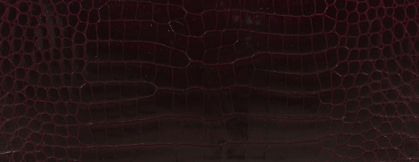 HERMÈS 2006  Sac PLUME ÉLAN 28 Crocodile d'estuaire lisse bordeaux (Crocodylus porosus) II/B source R Garniture métal arge...
