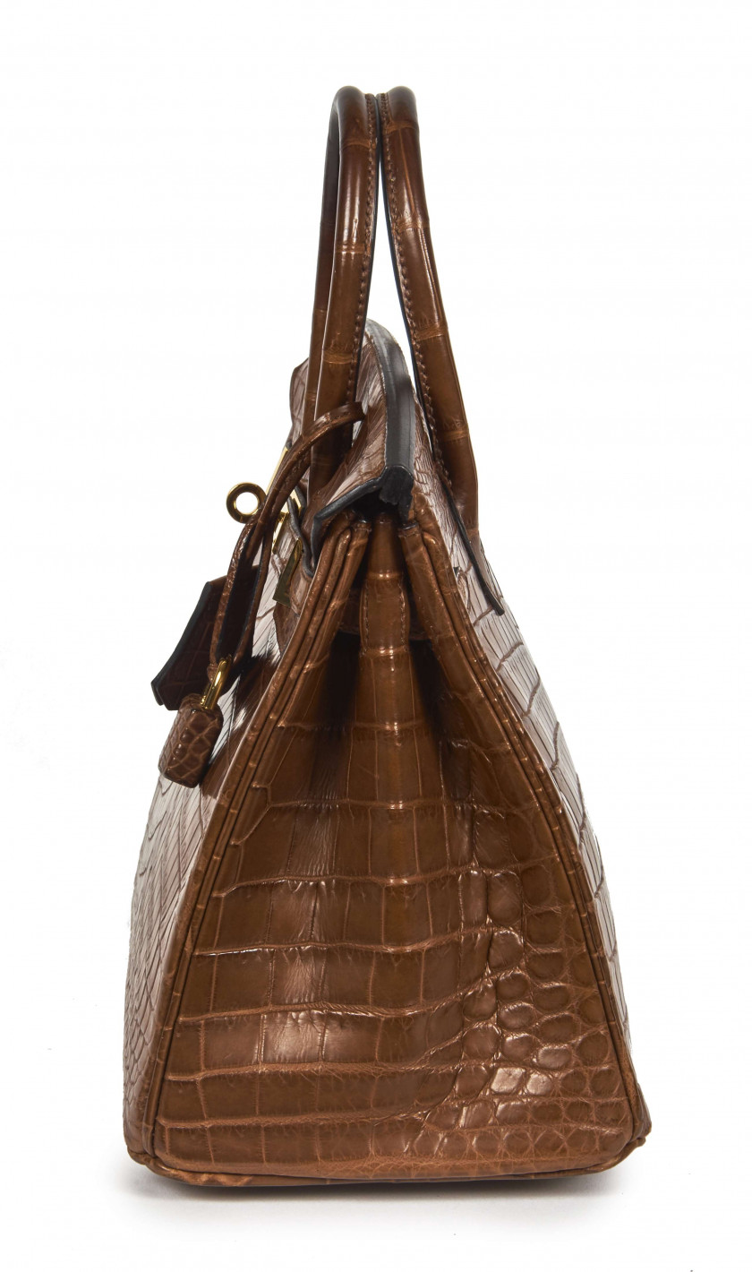 HERMÈS 2016  Sac BIRKIN 25 Crocodile du Nil mat Rouille (Crocodylus niloticus) II/B Garniture métal plaqué or  BIRKIN...