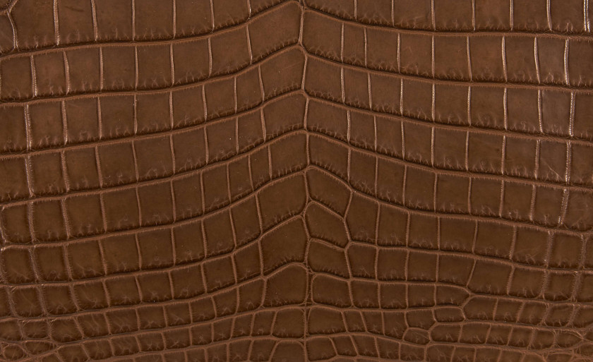 HERMÈS 2016  Sac BIRKIN 25 Crocodile du Nil mat Rouille (Crocodylus niloticus) II/B Garniture métal plaqué or  BIRKIN...