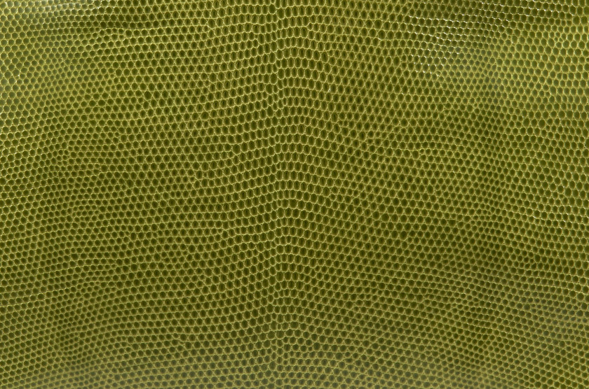HERMÈS 2007  Sac BIRKIN 25 Varan des sables vert Anis (Varanus panoptes) II/B Garniture métal argenté palladié  BIRKIN...