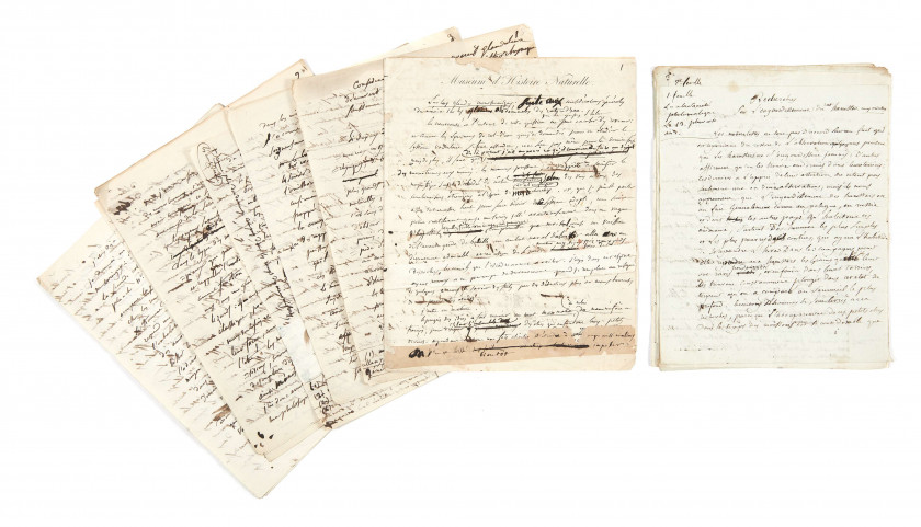 ÉTIENNE GEOFFROY SAINT-HILAIRE (1772-1844) Réunion de 17 manuscrits autographes