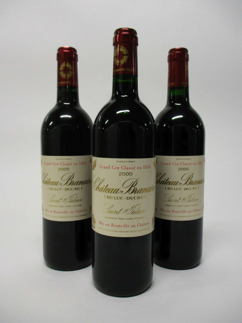 12 bouteilles CHÂTEAU BRANAIRE DUCRU 2000 4è GC Saint Julien (étiquettes léger tachées)