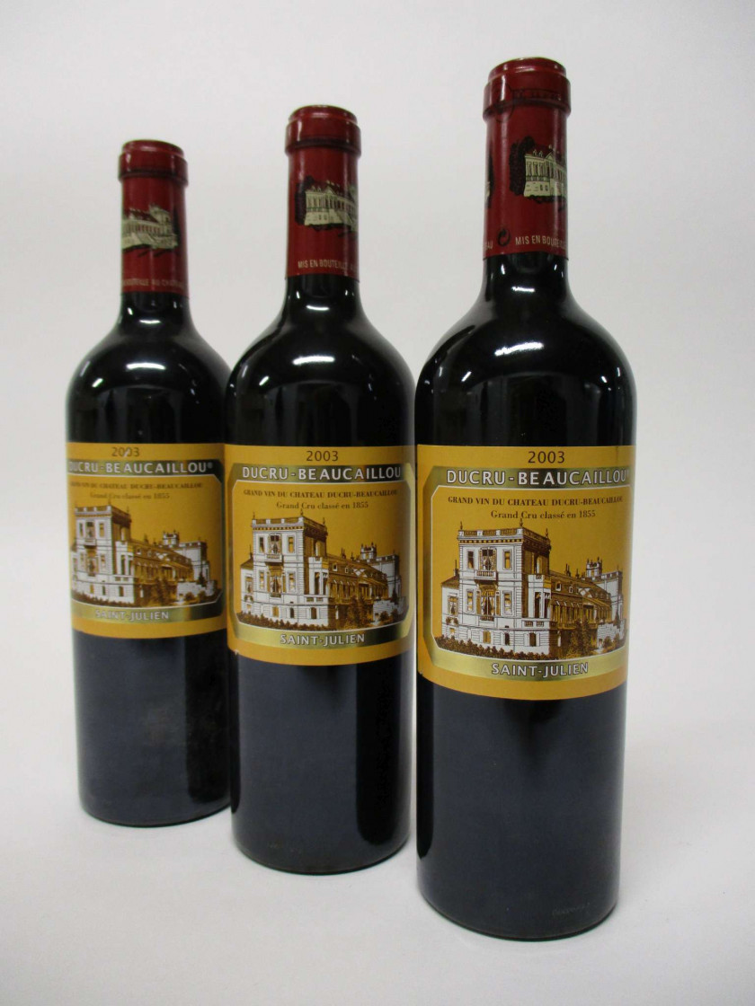11 bouteilles CHÂTEAU DUCRU BEAUCAILLOU 2003 2è GC Saint Julien (Quelques accrocs sur étiquettes)