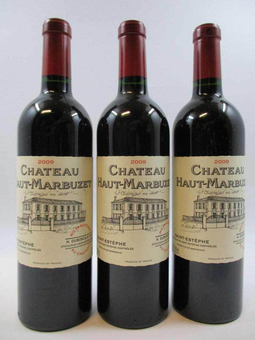 12 bouteilles CHÂTEAU HAUT MARBUZET 2009 Saint Estèphe