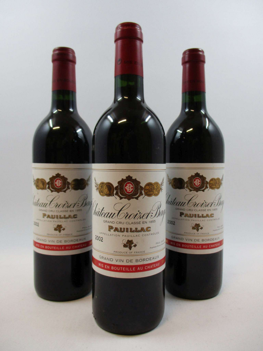 12 bouteilles CHÂTEAU CROIZET BAGES 2002 5è GC Pauillac