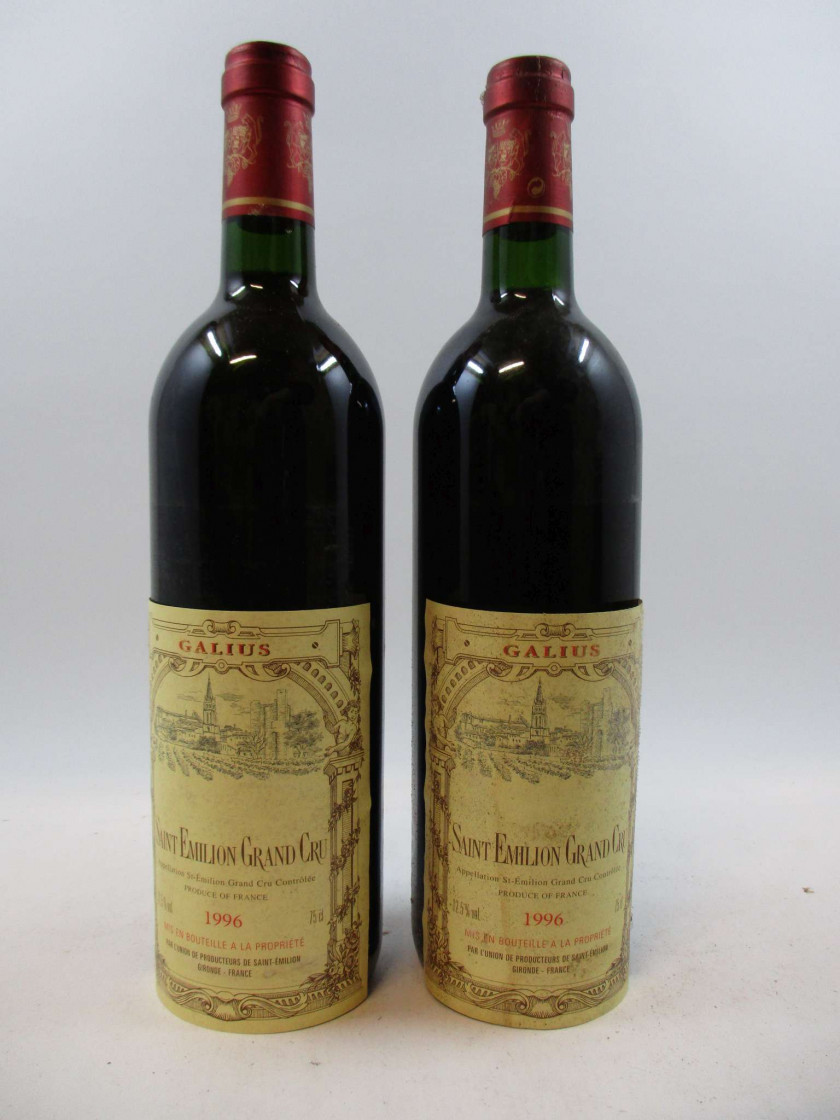 6 bouteilles GALIUS 1996 Saint Emilion (étiquette décollées)