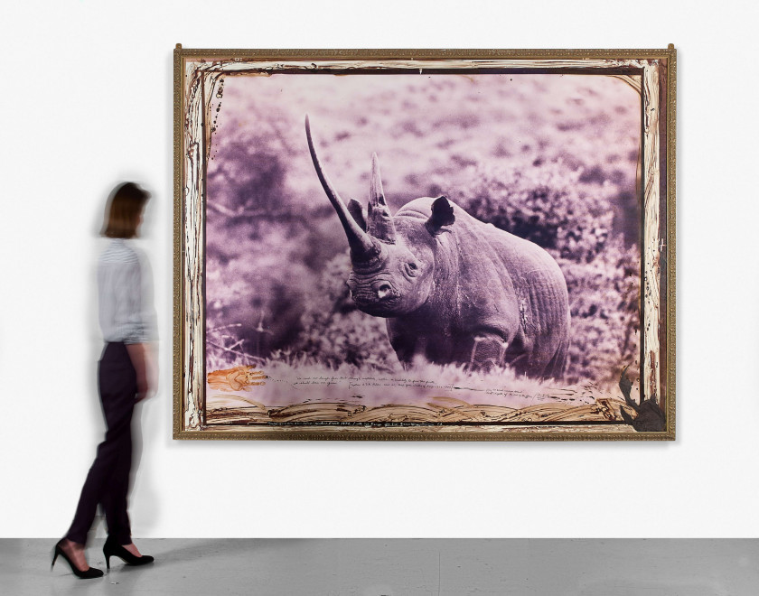 PETER BEARD Né en 1938 World-record Black Rhino in the Ruhuti River Valley of the Aberdare Forest (Front horn circa 47"), for the En...