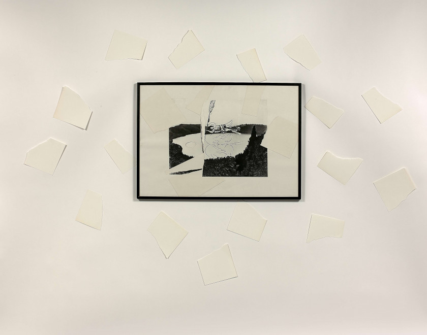 Giulio PAOLINI (Né en 1940) L'EXIL DU CYGNE - 1983-84 Sérigraphie, dessin et collage sur papier