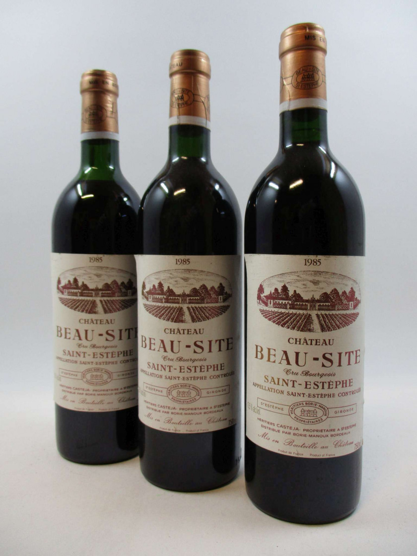 12 bouteilles CHÂTEAU BEAU SITE 1985 Saint Estèphe (11 base goulot
