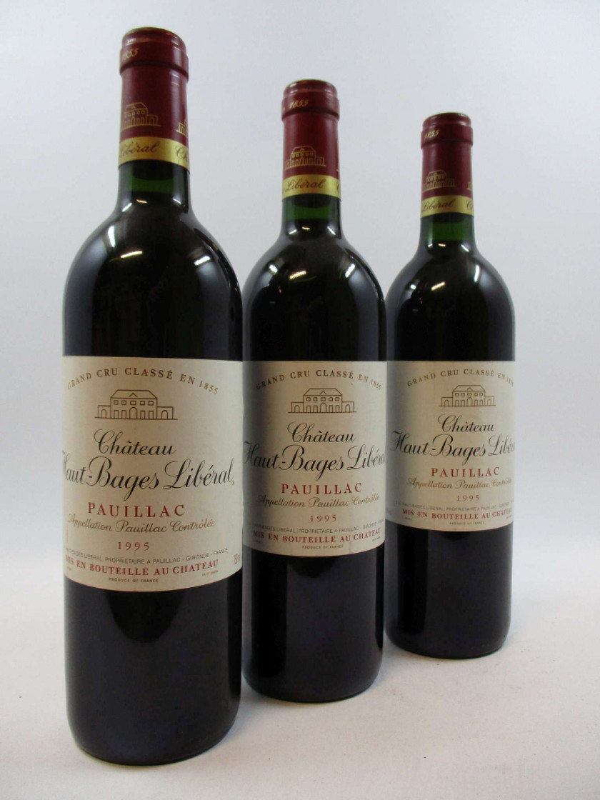 12 bouteilles CHÂTEAU HAUT BAGES LIBERAL 1995 5è GC Pauillac (base goulot