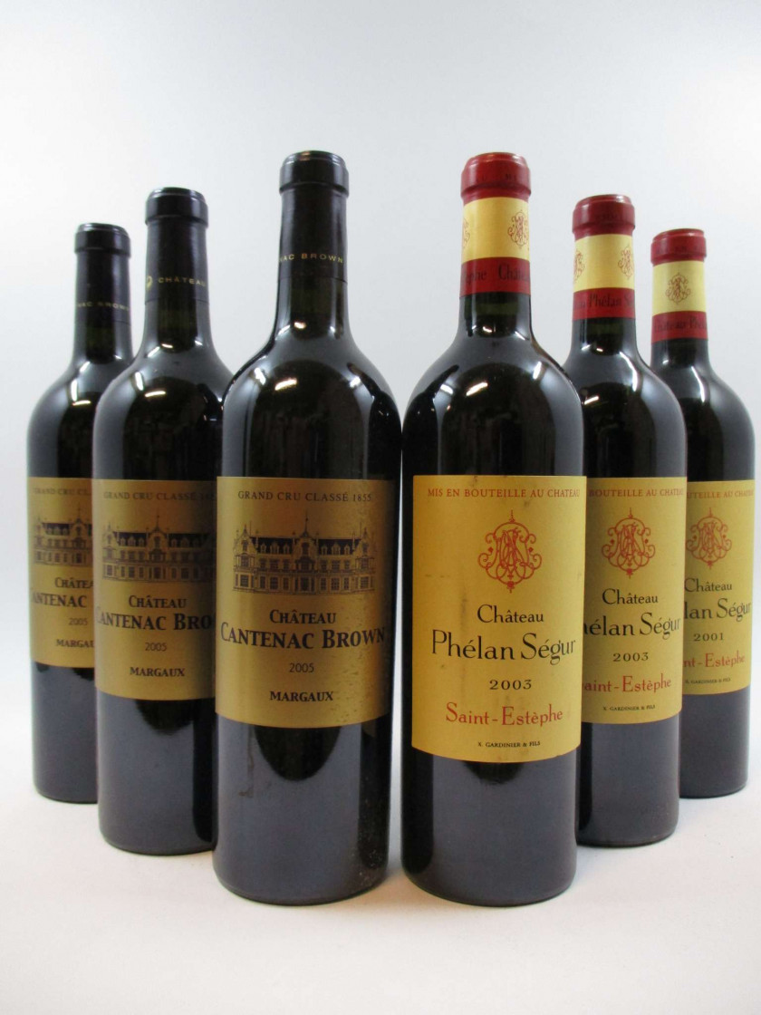 6 bouteilles 3 bts : CHÂTEAU CANTENAC BROWN 2005 3è GC Margaux (1 étiquette abimée)