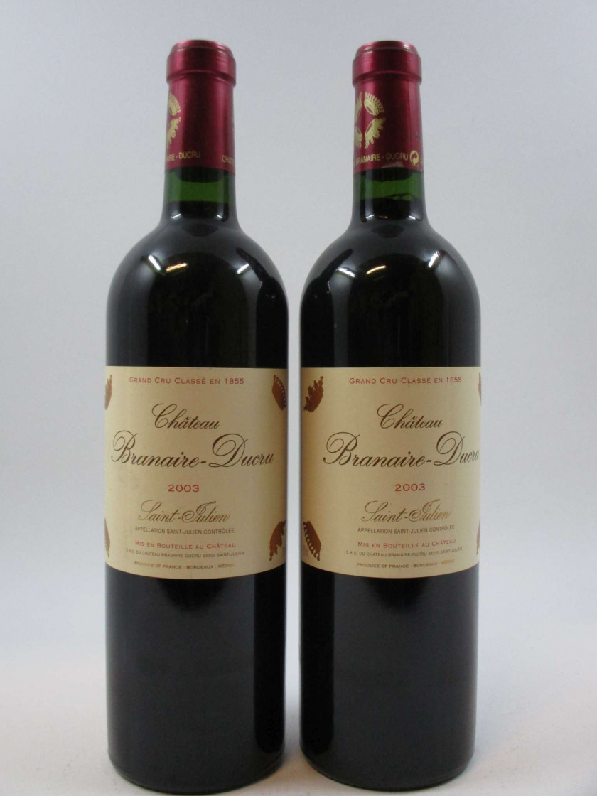 2 bouteilles CHÂTEAU BRANAIRE DUCRU 2003 4è GC Saint Julien (étiquettes très léger tachées)