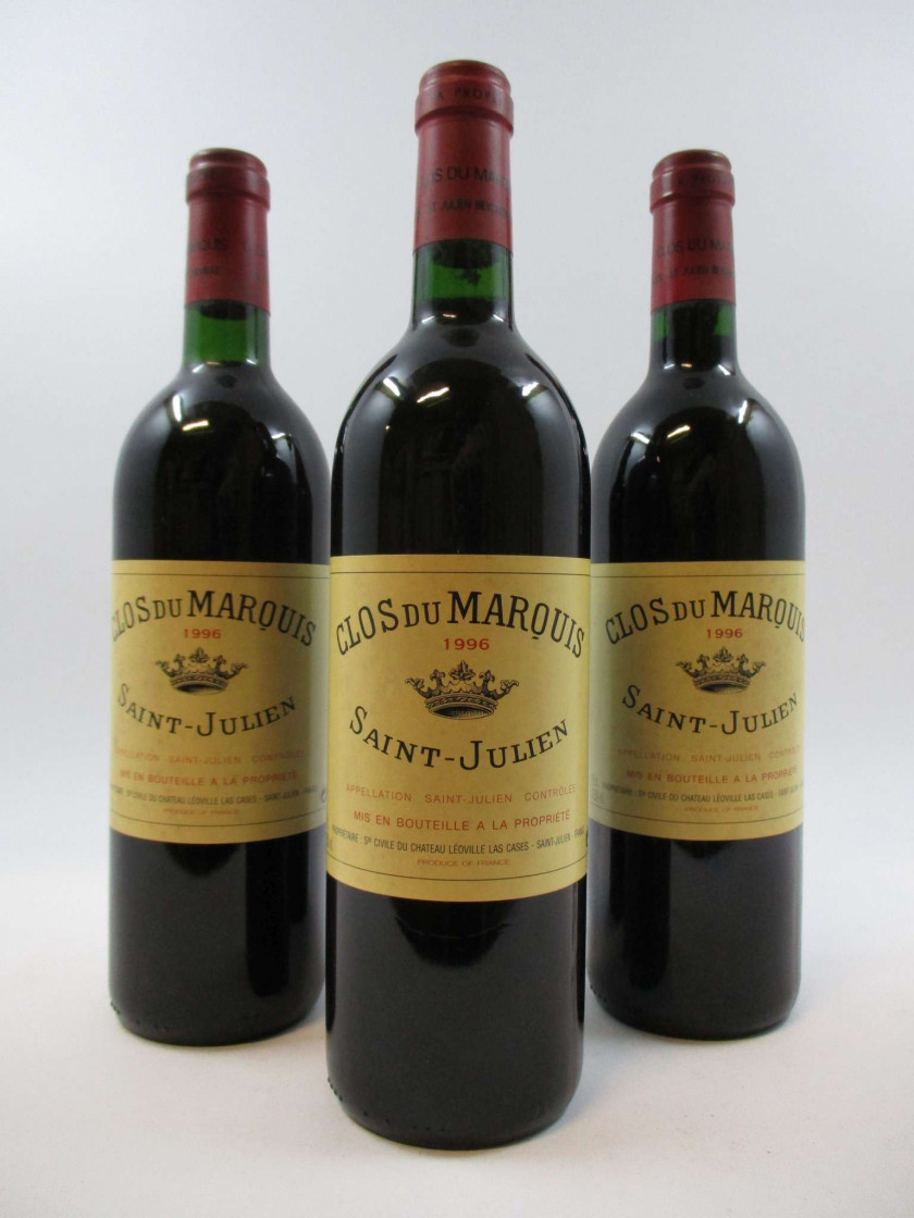 6 bouteilles CLOS DU MARQUIS 1996 Saint Julien (étiquettes fanées