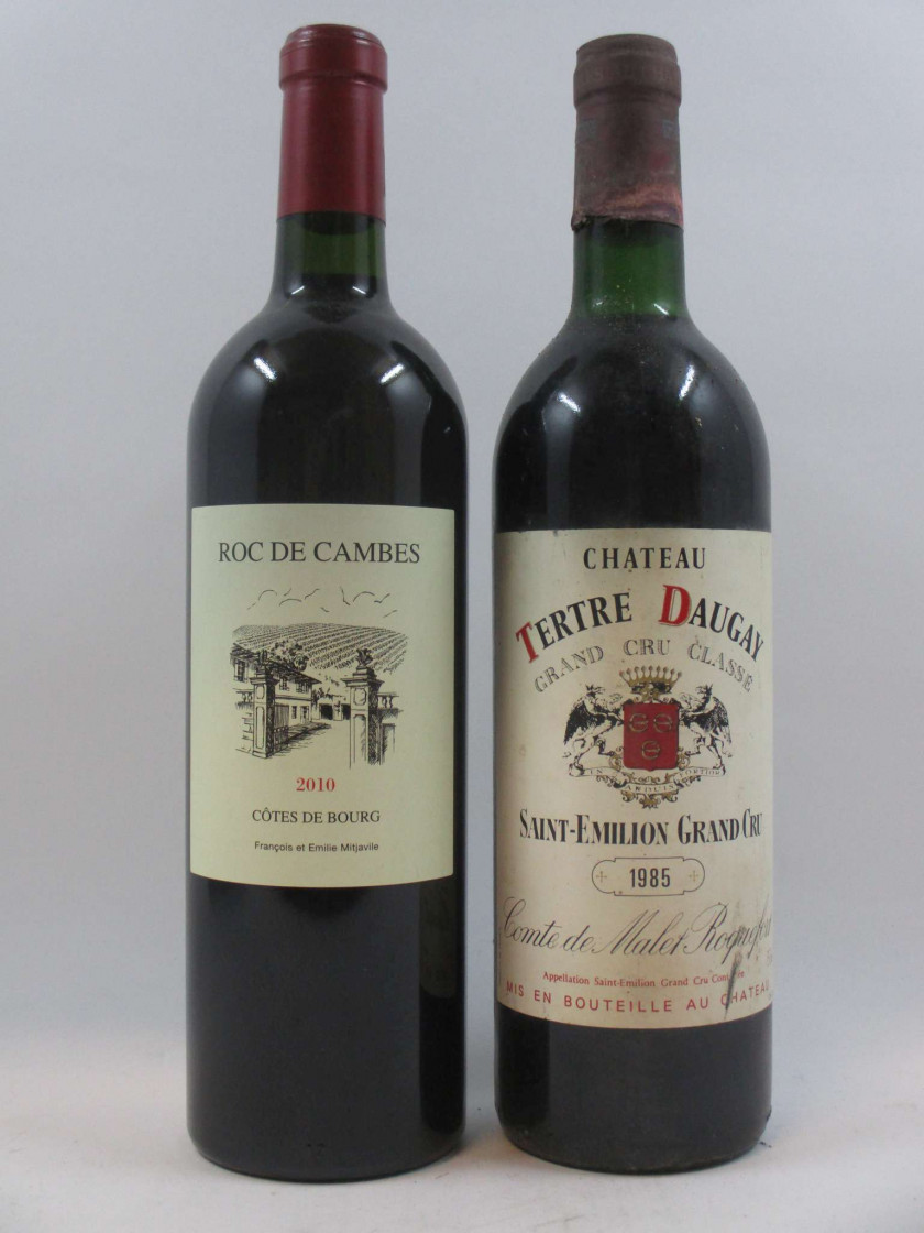 10 bouteilles 3 bts : CHÂTEAU ROC DE CAMBES 2010 Côtes de Bourg 7 bts : CHÂTEAU TERTRE DAUGAY 1985 GC Saint Emilion (légèrement bas éti