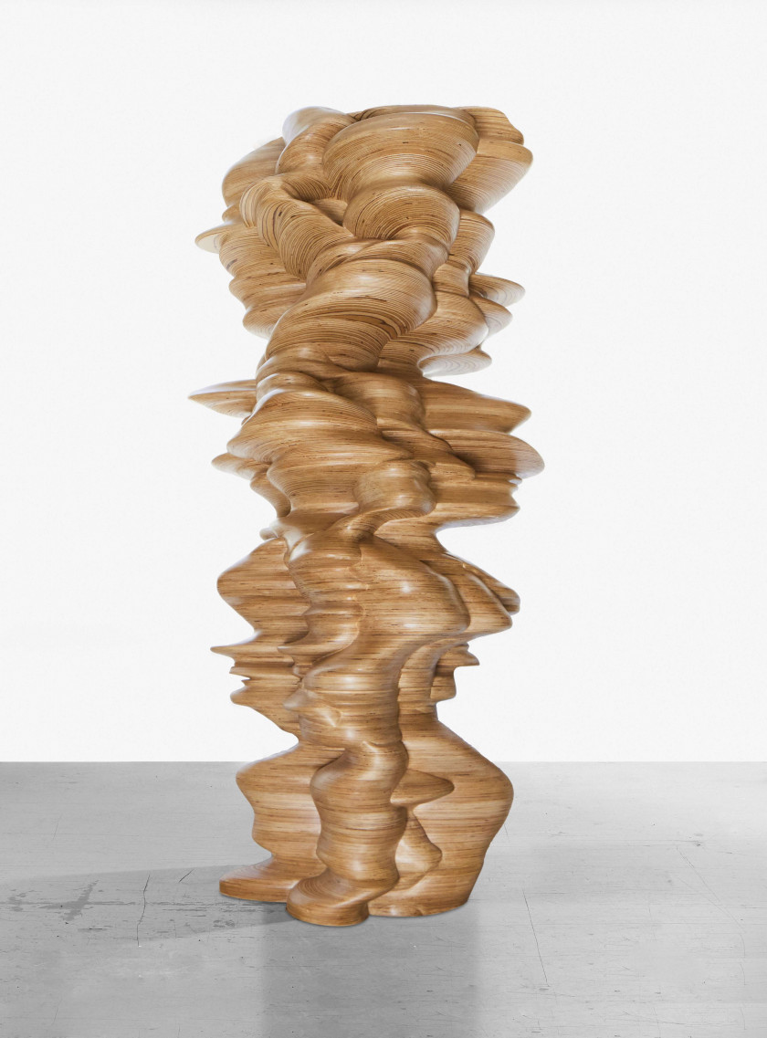 Tony CRAGG (Né en 1949) IT IS, IT ISN'T - 2010 Bois Kerto